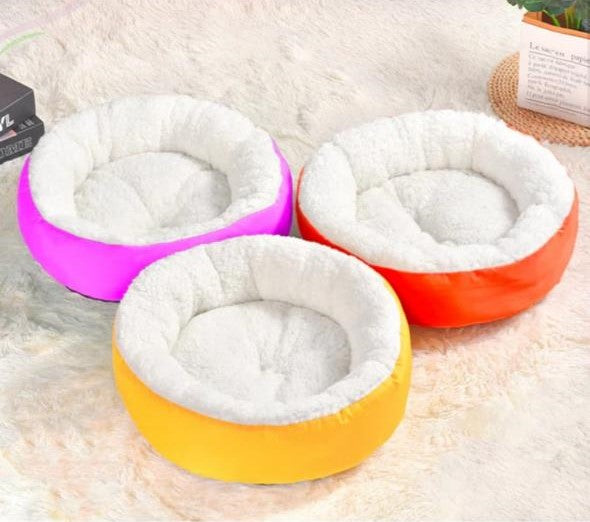 Caminha para gato