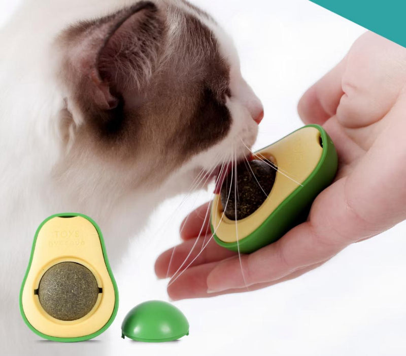 Abacate com Catnip
